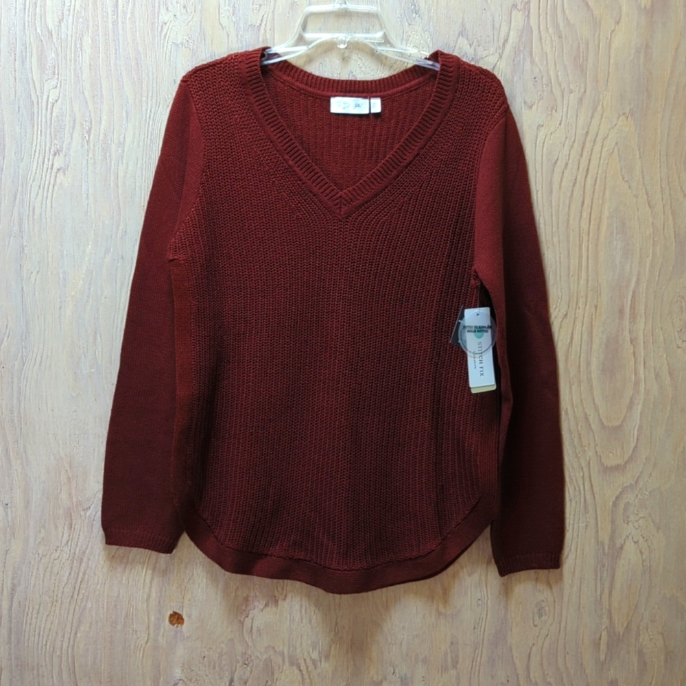 RD Style Josslyn Brown V-neck Sweater Size Large l NWT